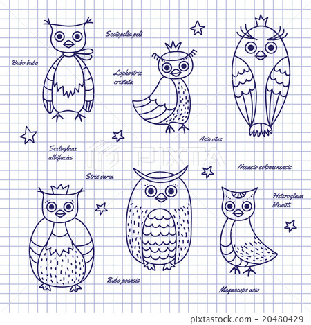 Sketch owls. Hand-draw Sketch owls. Hand-draw 20480429