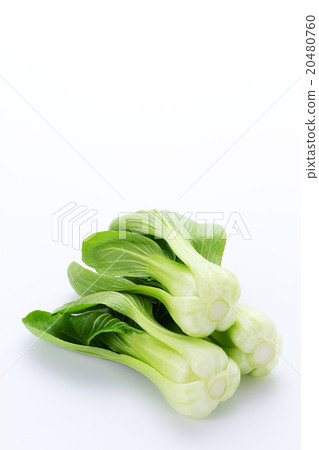 Chingeng Sai 3 20480760