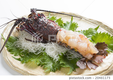 Shrimp Ise sashimi 20481173