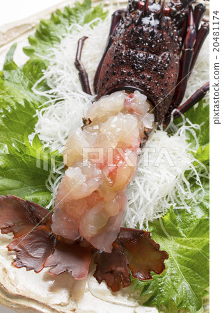 Shrimp Ise sashimi 20481174