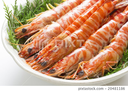Boiled prawns 20481186