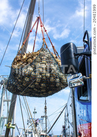 Bounty of the Sea of Okhotsk 20481999
