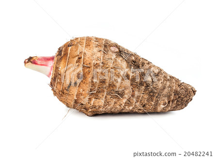 Taro root isolated on white background 20482241