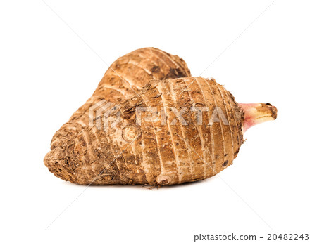 Taro root isolated on white background 20482243