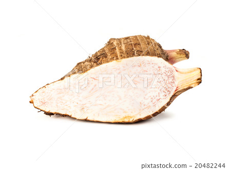 Taro root isolated on white background 20482244