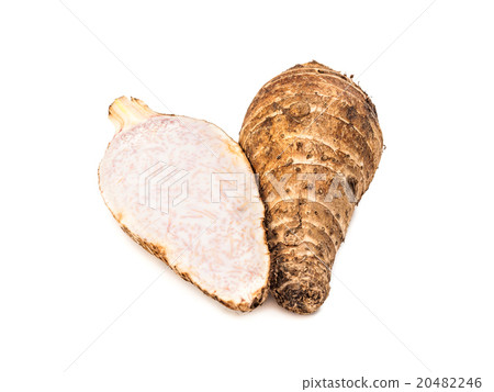 Taro root isolated on white background 20482246