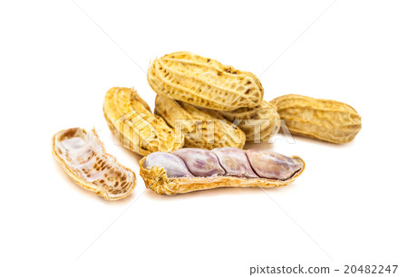 Peanuts isolated on white background 20482247