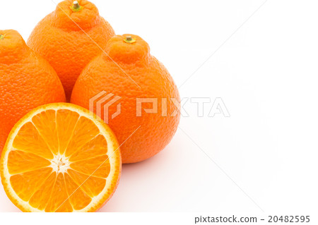 Tangelo (variety: Mineola): Tangelo (cv. Minneola) 20482595