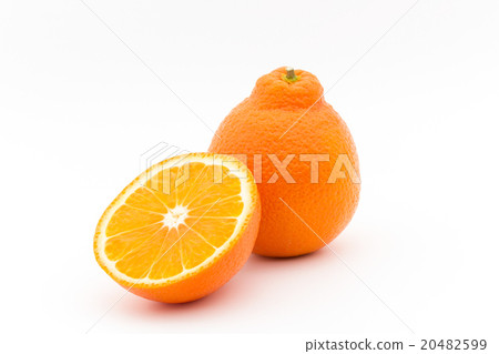 Tangelo (variety: Mineola): Tangelo (cv. Minneola) 20482599