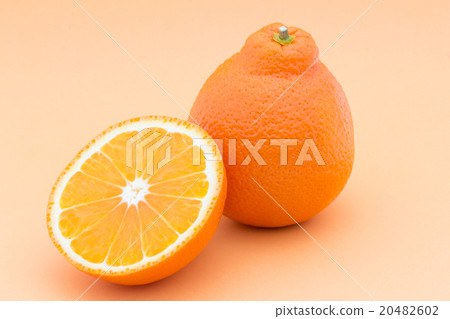 Tangelo (variety: Mineola): Tangelo (cv. Minneola) 20482602
