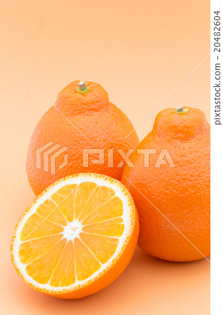 Tangelo (variety: Mineola): Tangelo (cv. Minneola) 20482604