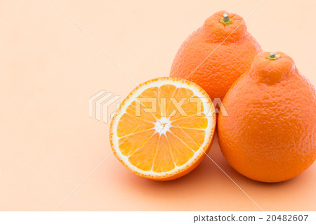 Tangelo (variety: Mineola): Tangelo (cv. Minneola) Tangelo (variety: Mineola): Tangelo (cv. Minneola) 20482607