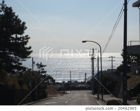 海 海 20482905