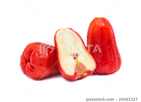 Rose apple fruit isolated on white background Rose apple fruit isolated on white background 20483327