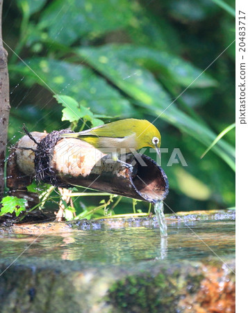 Drinking place 5 20483717