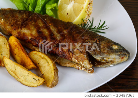 Grilled trout 20487365