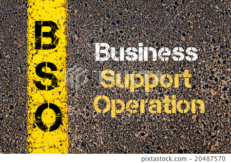 Business Acronym BSO Business Support Operation Business Acronym BSO Business Support Operation 20487570