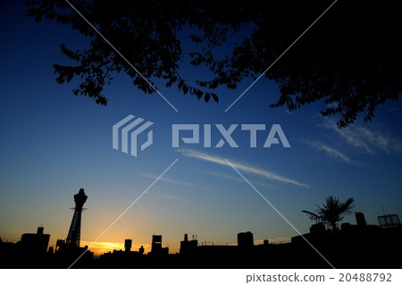 大阪Tsutenkaku晚上視圖 20488792