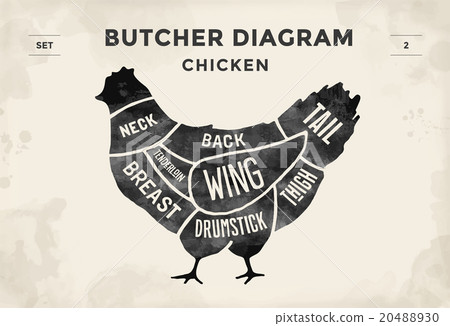 Cut of meat set. Poster Butcher diagram - Chicken Cut of meat set. Poster Butcher diagram - Chicken 20488930