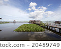 house is abandons on wetland in lake side at sout 20489749