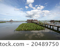Lake in southern thailand 20489750