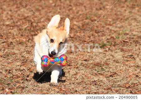 知道了♪ 20490005