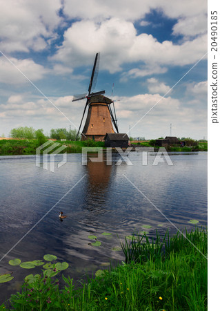 dutch windmill and canal dutch windmill and canal 20490185