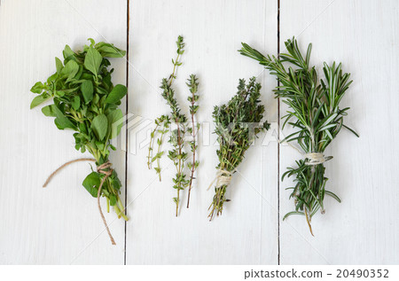 Mixed fresh herbs 20490352