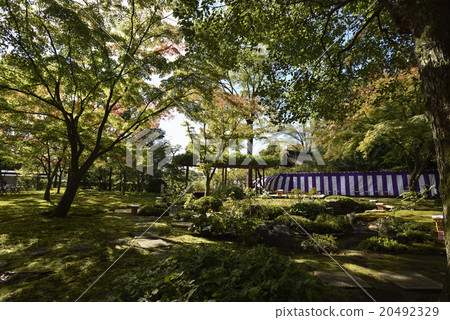 Seongnam-si Song water banquet peace garden Seongnam-si Song water banquet peace garden 20492329