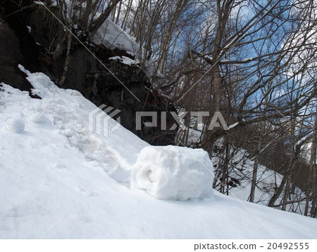 雪轉 雪轉 20492555