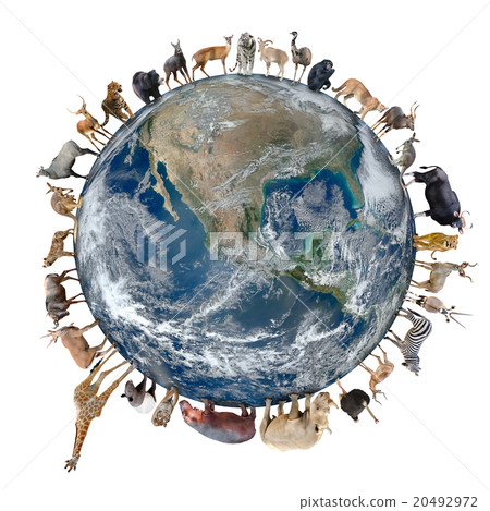 plannet of animal plannet of animal 20492972