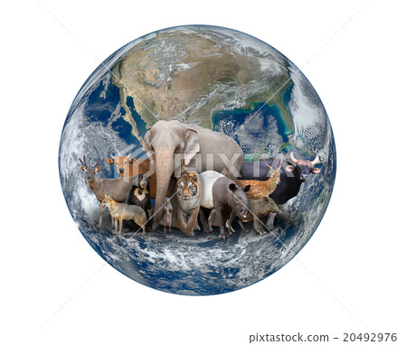 group of asia animal with planet earth 20492976