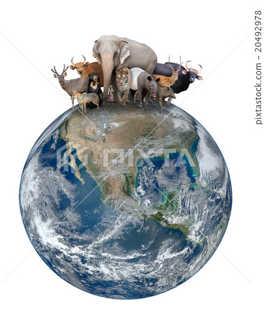 group of asia animal with planet earth 20492978