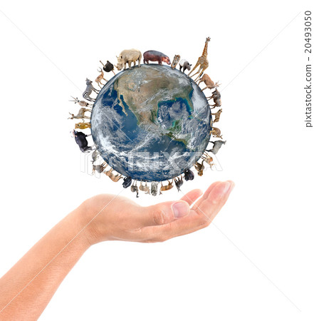 animal stand around the world on the hand 20493050