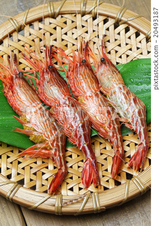 Shima shrimp 20493187