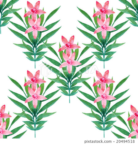 Watercolor seamless pattern of exotic flowers. Watercolor seamless pattern of exotic flowers. 20494518