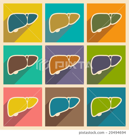 Icons of assembly human liver in flat style - Stock Illustration ...