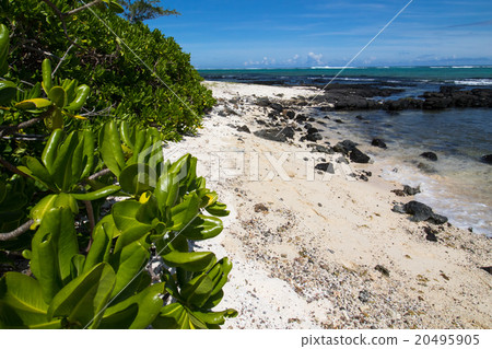 Ilot des deux Cocos Mauritius Ilot des deux Cocos Mauritius 20495905