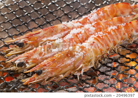 Charcoal grilled fire of a prawn prawn Charcoal grilled fire of a prawn prawn 20496397
