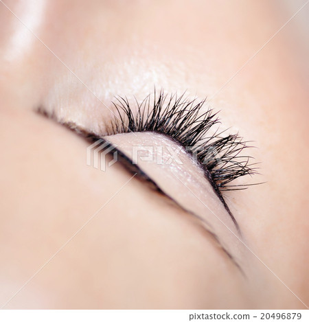 Woman beautiful long eyelashes in cosmetics salon Woman beautiful long eyelashes in cosmetics salon 20496879