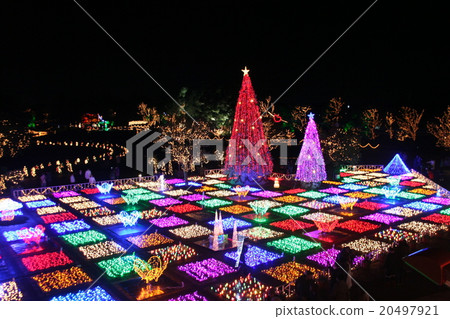 花園1夜視圖 花園1夜視圖 20497921