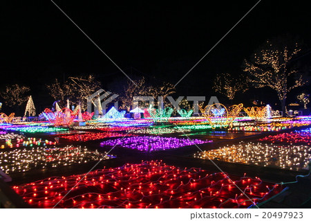 花園3夜視圖 20497923