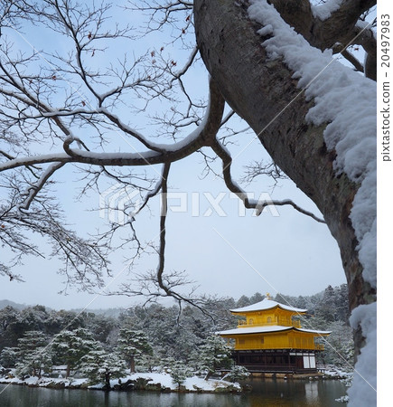 The golden pavilion where the snow was made up The golden pavilion where the snow was made up 20497983