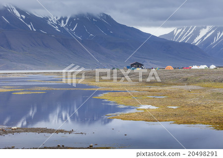 Arctic tundra in summer, Svalbard, Norway 20498291