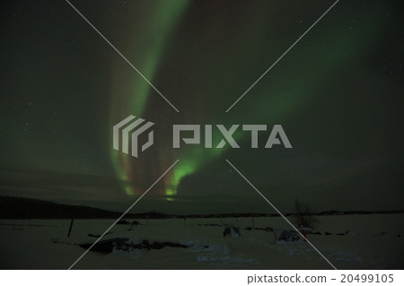 Aurora Aurora 20499105