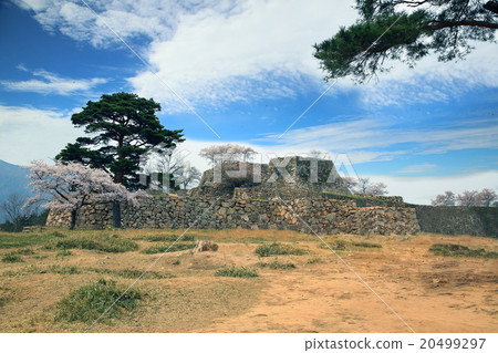 Sakura Takedajo Hyogo ken 20499297