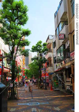 樹購物中心購物街風景在川口市，埼玉縣 20499600