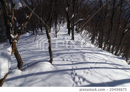 Kaname山質量 Kaname山質量 20499875