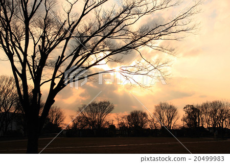 Dusk of the winter landscape Dusk of the winter landscape 20499983