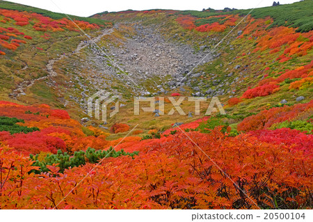 Akakame的秋葉 20500104